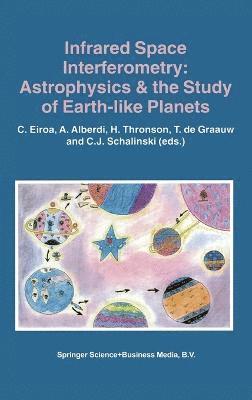 bokomslag Infrared Space Interferometry