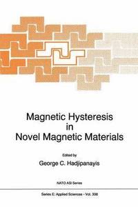 bokomslag Magnetic Hysteresis in Novel Magnetic Materials