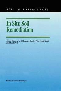 bokomslag In Situ Soil Remediation