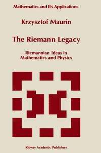 bokomslag The Riemann Legacy