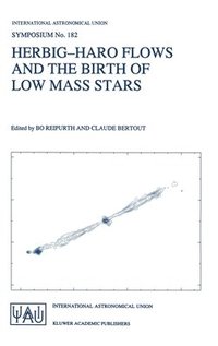 bokomslag Herbig-Haro Flows and the Birth of Low Mass Stars