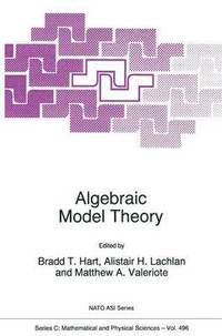 bokomslag Algebraic Model Theory
