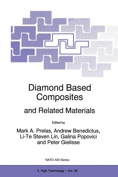 Mark A. Prelas, Andrew Benedictus, Li-Te Steven Lin, Galina Popovici, Peter Gielisse - Diamond Based Composites, Inbunden