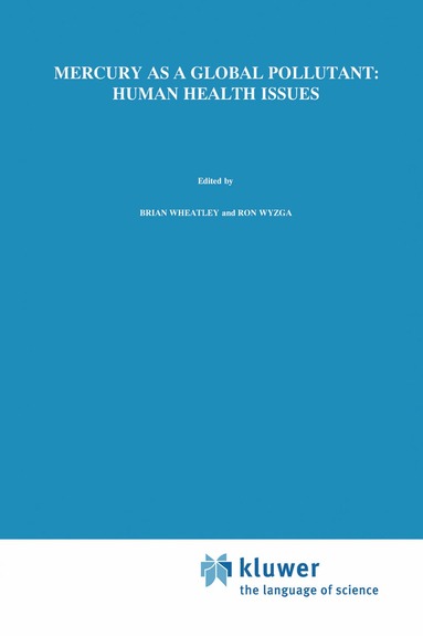 bokomslag Mercury as a Global Pollutant: Human Health Issues