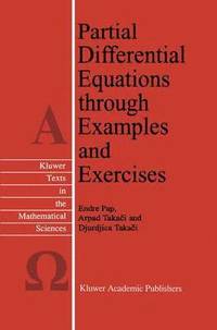 bokomslag Partial Differential Equations through Examples and Exercises