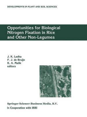 J. K. Ladha, F. J. de Bruijn, K. A. Malik, F. J. De Bruijn, National Institute for Biotechnology and - Opportunities for Biological Nitrogen Fixation in Rice and Other Non-Legumes, Häftad