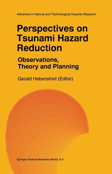 bokomslag Perspectives on Tsunami Hazard Reduction: Observations, Theory and Planning