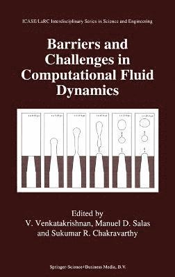 bokomslag Barriers and Challenges in Computational Fluid Dynamics