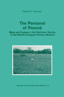 The Pantanal of Pocon 1