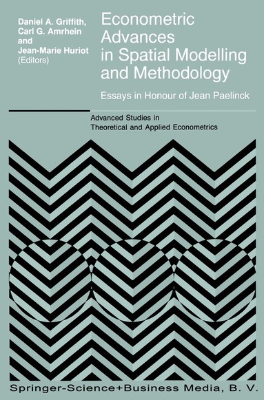 bokomslag Econometric Advances in Spatial Modelling and Methodology