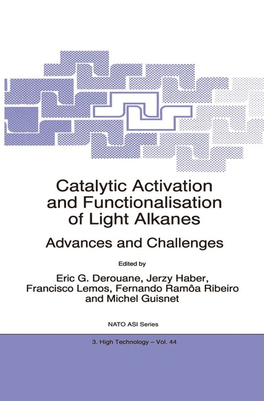 E.G. Derouane, Jerzy Haber, Francisco Lemos, Fernando Ramôa Ribeiro, Michel Guisnet - Catalytic Activation and Functionalisation of Light Alkanes, Inbunden