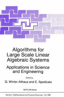 Algorithms for Large Scale Linear Algebraic Systems: 1