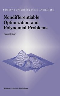 bokomslag Nondifferentiable Optimization and Polynomial Problems