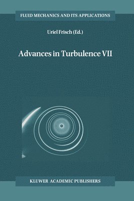 bokomslag Advances in Turbulence VII