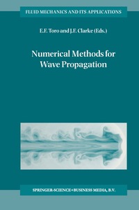 bokomslag Numerical Methods for Wave Propagation