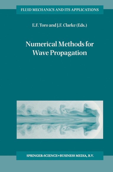 bokomslag Numerical Methods for Wave Propagation