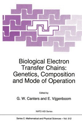 Ed G. W., Canter, G.W. Canters, E. Vijgenboom - Biological Electron Transfer Chains, Inbunden
