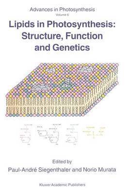 Paul A. Siegenthaler, Norio Murata, Paul-André Siegenthaler, N. Murata - Lipids in Photosynthesis: Structure, Function and Genetics, Inbunden