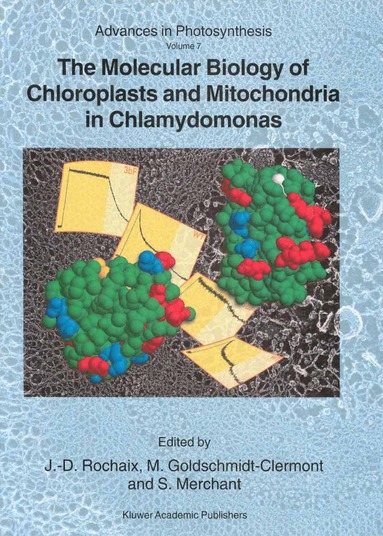 bokomslag Molecular Biology of Chloroplasts and Mitochondria in Chlamydomonas