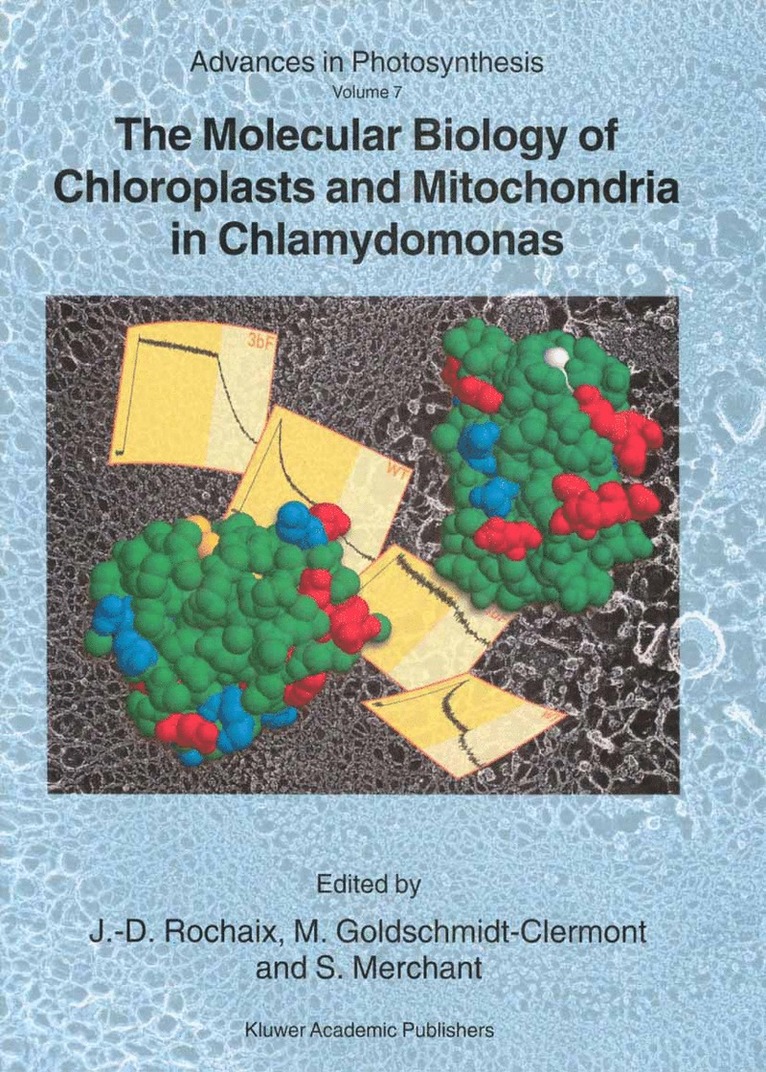 J.-D. Rochaix, M. Goldschmidt-Clermont, Sabeeha Merchant, J. -D Rochaix, J -D Rochaix - Molecular Biology of Chloroplasts and Mitochondria in Chlamydomonas, Inbunden