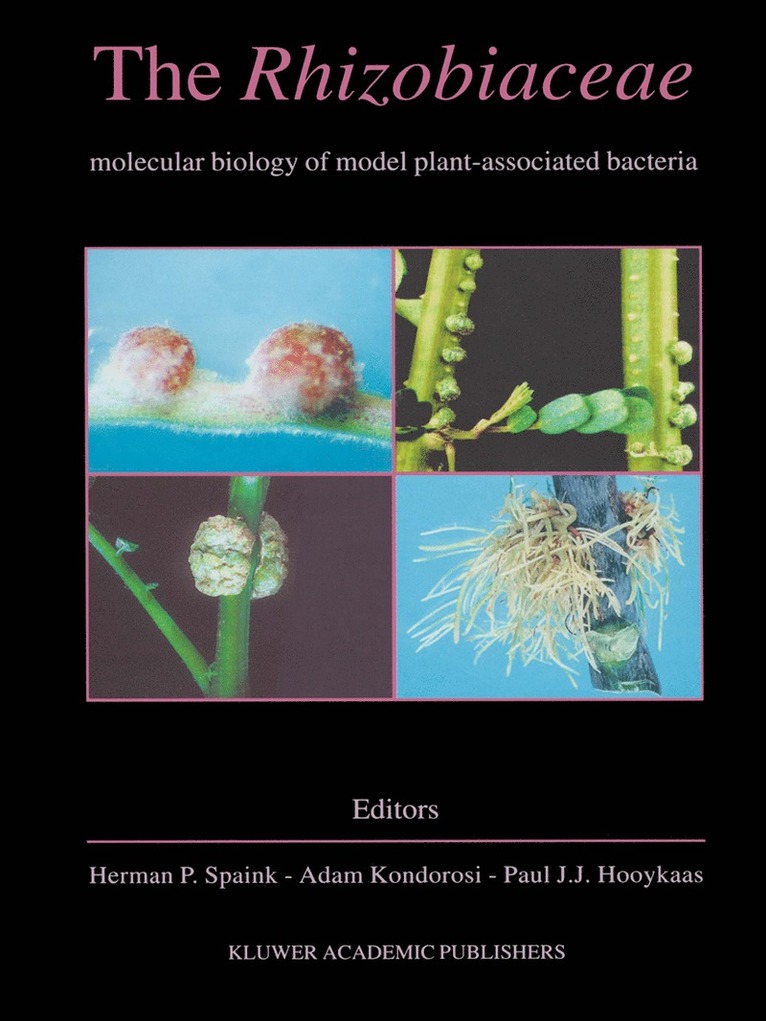 Herman P. Spaink, Adam Kondorosi, Paul J.J. Hooykaas, Paul J. J. Hooykaas - Rhizobiaceae, Häftad