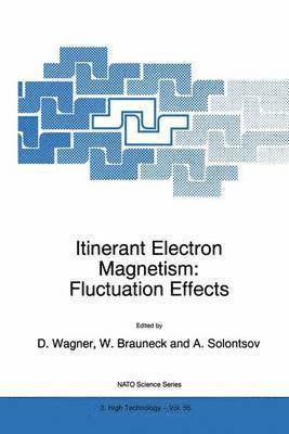 Dieter Wagner, Wolfgang Brauneck, Alexander Solontsov - Itinerant Electron Magnetism: Fluctuation Effects, Inbunden