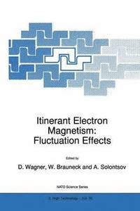 bokomslag Itinerant Electron Magnetism: Fluctuation Effects