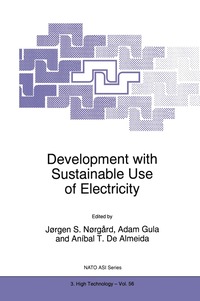 bokomslag Development with Sustainable Use of Electricity