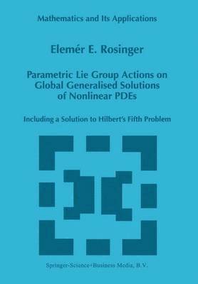 Parametric Lie Group Actions on Global Generalised Solutions of Nonlinear PDEs 1