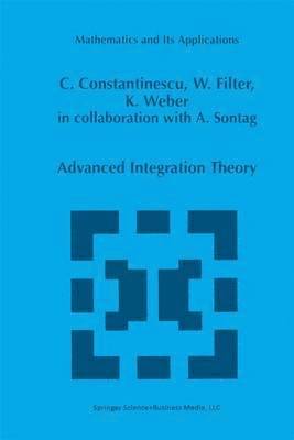 Advanced Integration Theory 1