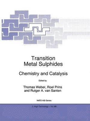 Th. Weber, H. Prins, R.A. van Santen, Th Weber, Roel Prins, R. A. van Santen - Transition Metal Sulphides, Inbunden