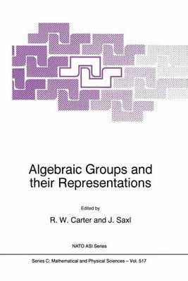 Algebraic Groups and their Representations 1