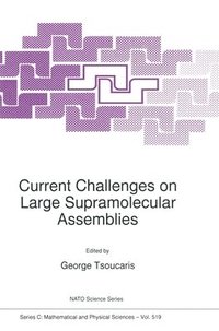 bokomslag Current Challenges on Large Supramolecular Assemblies: Proceedings of the NATO Advanced Research Workshop, Athens, Greece, 31 October-5 November 1997