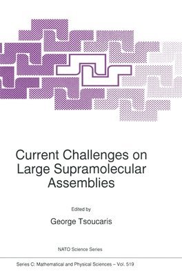 Current Challenges on Large Supramolecular Assemblies: Proceedings of the NATO Advanced Research Workshop, Athens, Greece, 31 October-5 November 1997 1