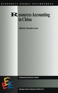 bokomslag Resources Accounting in China