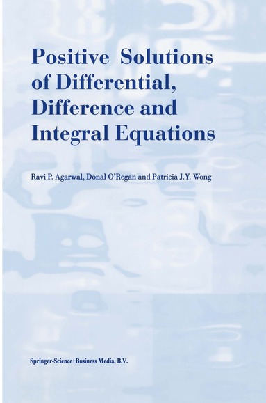 bokomslag Positive Solutions of Differential, Difference and Integral Equations