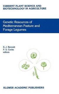 bokomslag Genetic Resources of Mediterranean Pasture and Forage Legumes
