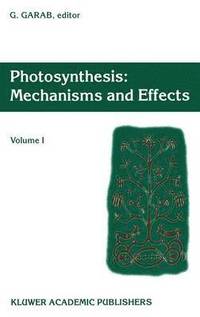 bokomslag Photosynthesis: Mechanisms and Effects