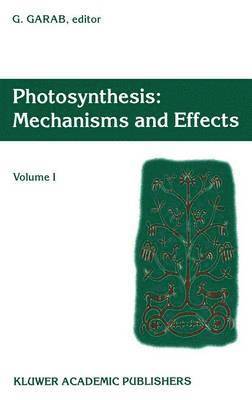 Photosynthesis: Mechanisms and Effects 1