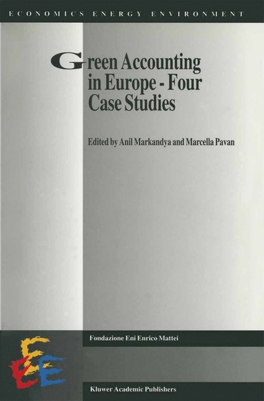 bokomslag Green Accounting in Europe - Four case studies