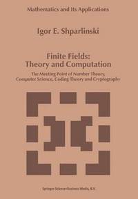 bokomslag Finite Fields: Theory and Computation