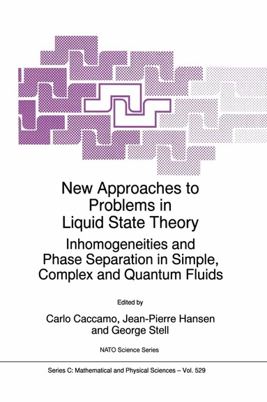 bokomslag New Approaches to Problems in Liquid State Theory