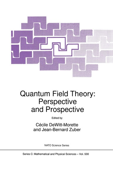 Cécile Dewitt-Morette, Jean-Bernard Zuber - Quantum Field Theory: Perspective and Prospective, Inbunden
