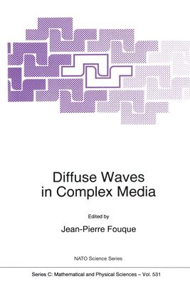 Jean-Pierre Fouque - Diffuse Waves in Complex Media, Inbunden