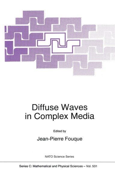 Jean-Pierre Fouque - Diffuse Waves in Complex Media, Häftad