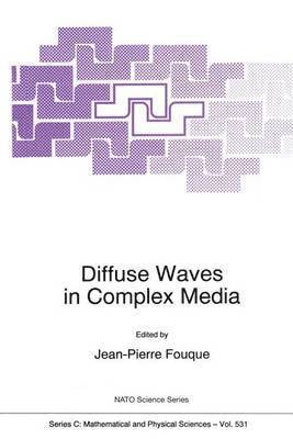 Jean-Pierre Fouque - Diffuse Waves in Complex Media, Häftad