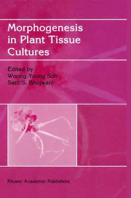 Morphogenesis in Plant Tissue Cultures 1