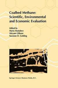 bokomslag Coalbed Methane: Scientific, Environmental and Economic Evaluation