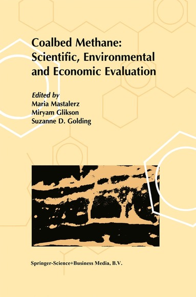 bokomslag Coalbed Methane: Scientific, Environmental and Economic Evaluation