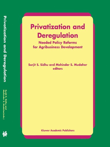 bokomslag Privatization and Deregulation